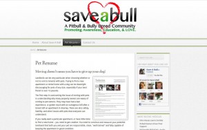 Save A Bull